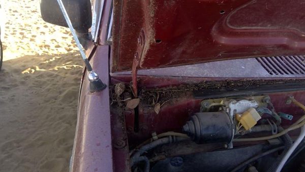 1981-1987 Isuzu Pup Pickup Passenger Right Hood Hinge Assembly Oem Red 94217433 — photo 6