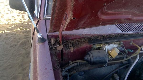 1981-1987 Isuzu Pup Pickup Passenger Right Hood Hinge Assembly Oem Red 94217433 — photo 7