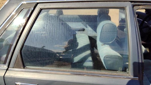1983-1986 Toyota Camry Passenger Right Rear Side Window Door Glass Oem Back — photo 4