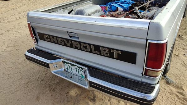 1982-1993 Chevy S10 Pickup Tail Gate Oem Gray 15659105 — photo 1