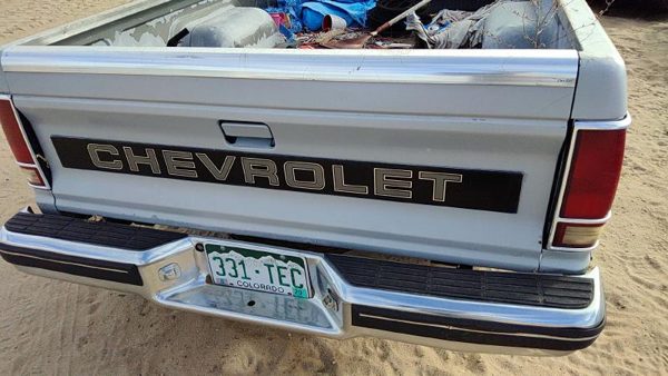 1982-1993 Chevy S10 Pickup Tail Gate Oem Gray 15659105 — photo 2