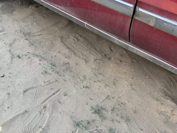 1986-1988 Olds 88 Driver Left Lower Rocker Panel Moulding Side Skirt Oem — photo 2