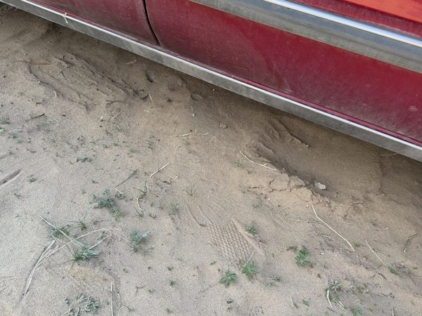 1986-1988 Olds 88 Driver Left Lower Rocker Panel Moulding Side Skirt Oem — photo 6