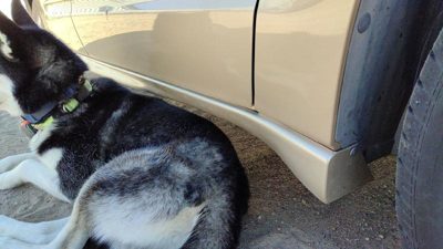 99-05 Pontiac Grand Am Passenger Right Lower Rocker Panel Moulding Side Skirt