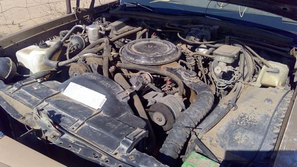 1985 Oldsmobile Delta 88 Cowl Vent Panel/screen Olds — photo 2