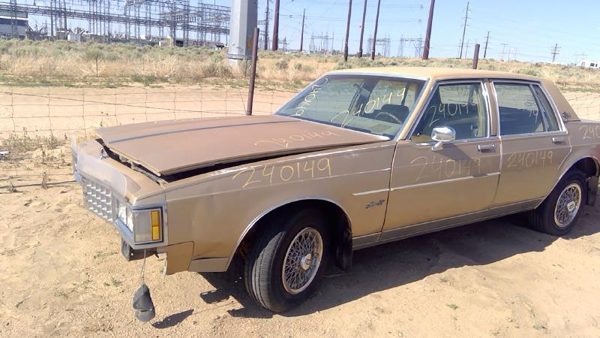 1985 Oldsmobile Delta 88 Cowl Vent Panel/screen Olds — photo 9