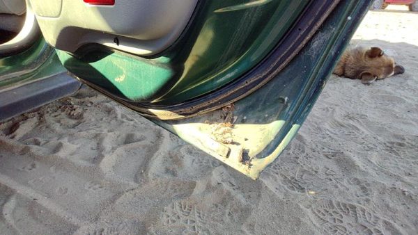 2000 Ford Taurus Rear Door RH Su Tropic Green 2F1Z5424630AA — photo 8