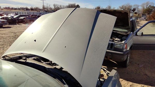 2006 Chrysler 300 Hood Gold Pyg — photo 2