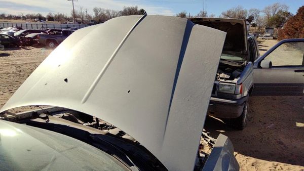 2006 Chrysler 300 Hood Gold Pyg — photo 3