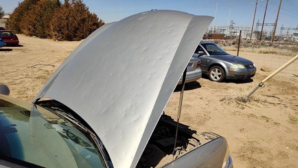1997 Buick Park Avenue Hood Big Hail — photo 1