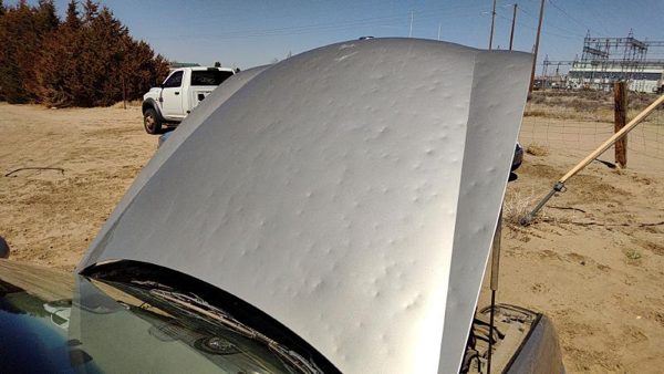 1997 Buick Park Avenue Hood Big Hail — photo 3