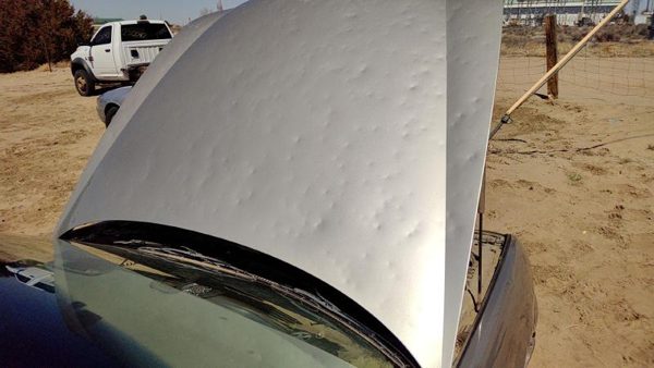 1997 Buick Park Avenue Hood Big Hail — photo 4