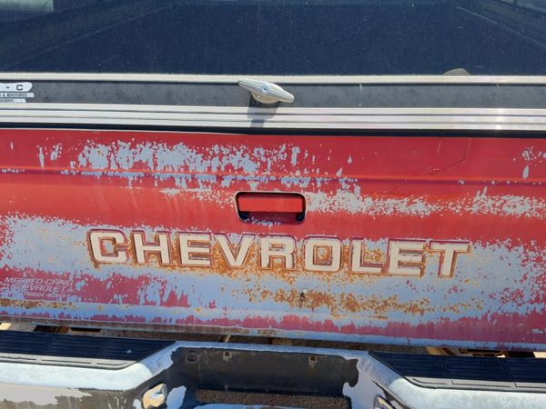 1990 Chevrolet S10 Trunk/decklid/hatch/tailgate Red — photo 4