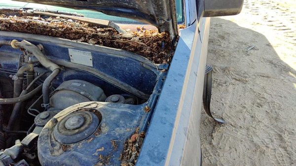 1983-1986 Toyota Camry Driver Left Hood Hinge Assembly Oem Gray 5342032011 — photo 2