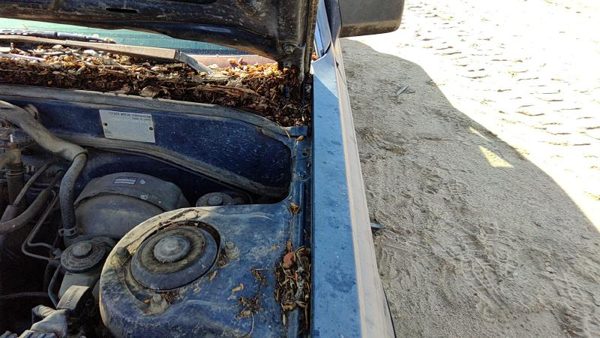 1983-1986 Toyota Camry Driver Left Hood Hinge Assembly Oem Gray 5342032011 — photo 1