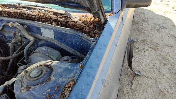 1983-1986 Toyota Camry Driver Left Hood Hinge Assembly Oem Gray 5342032011 — photo 3