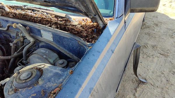 1983-1986 Toyota Camry Driver Left Hood Hinge Assembly Oem Gray 5342032011 — photo 4