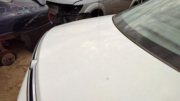2005 Ford Taurus Trunk/decklid/hatch/tailgate Wt White Hail — photo 4