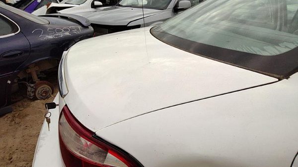 2005 Ford Taurus Trunk/decklid/hatch/tailgate Wt White Hail — photo 5