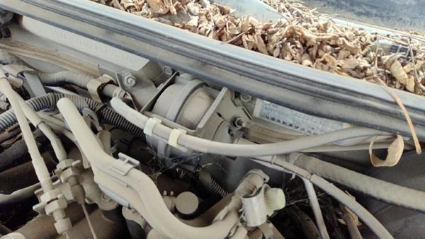 2001 Nissan Maxima Cruise Control Servo Assembly Module With Cable Oem — photo 3