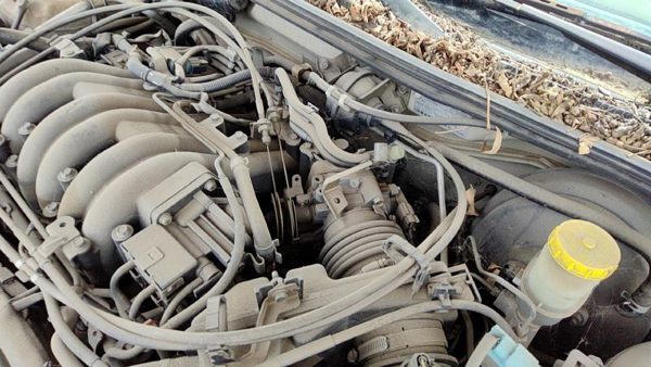 2001 Nissan Maxima Cruise Control Servo Assembly Module With Cable Oem — photo 2