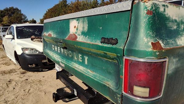 1973-1980 Silverado C10 Tail Gate Assembly Oem Green 00345806 — photo 3
