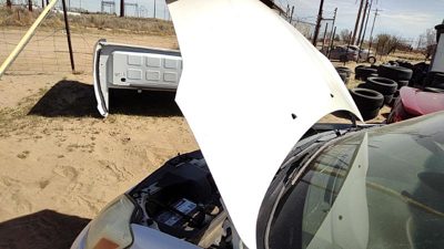 2004 Toyota Sienna Hood White 071