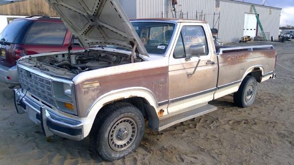 1981 Ford F-150 — vehicle photo 1