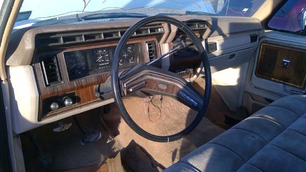 1981 Ford F-150 — vehicle photo 3