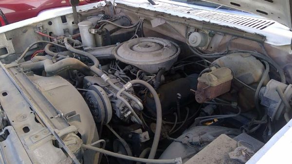 1981 Ford F-150 — vehicle photo 2