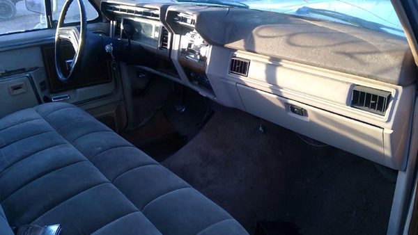 1981 Ford F-150 — vehicle photo 11