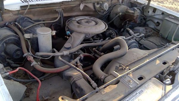 1981 Ford F-150 — vehicle photo 10
