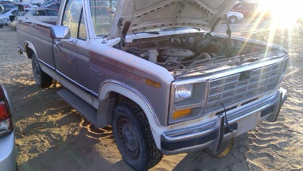 1981 Ford F-150 — vehicle photo 9