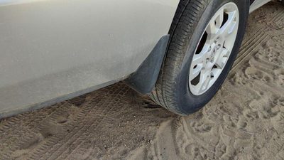 2003-2006 Acura Mdx Passenger Right Rear Mud Flap Oem Rock Guard