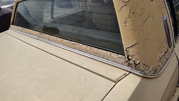 1977-1984 Cadillac Deville Chrome Trim Set Below Back Glass Oem Strip — photo 3