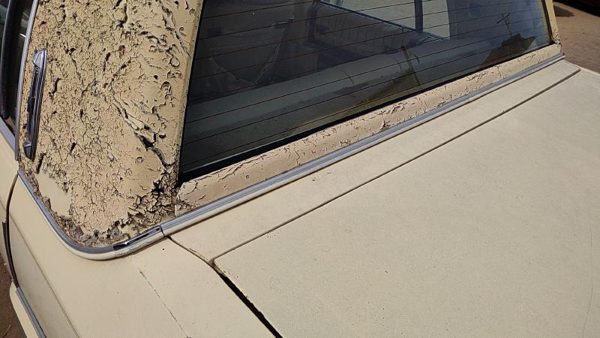 1977-1984 Cadillac Deville Chrome Trim Set Below Back Glass Oem Strip — photo 5