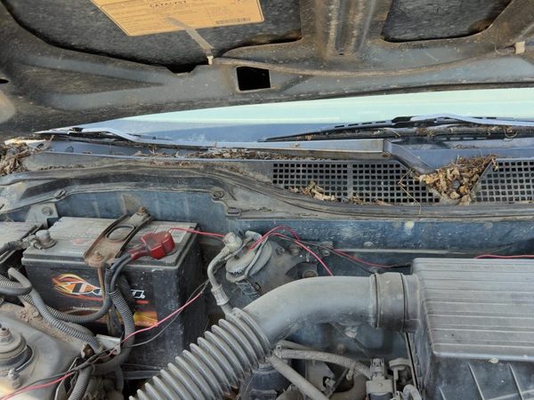 1996-2000 Honda Civic Passenger Right Windshield Wiper Arm Oem Blade Lever — photo 4