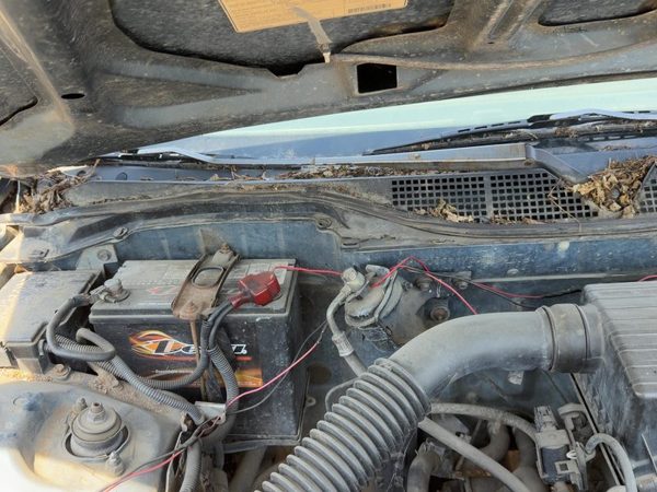 1996-2000 Honda Civic Passenger Right Windshield Wiper Arm Oem Blade Lever — photo 5