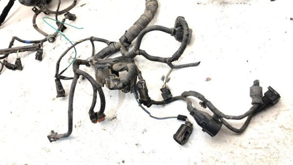 2004-2006 Kia Spectra Wiring Harness For Engine Oem 2.0L 4 Door — photo 12