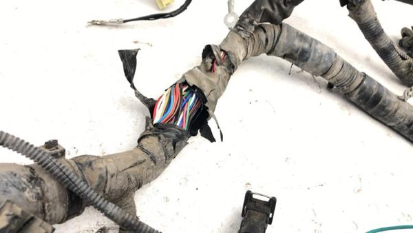 2004-2006 Kia Spectra Wiring Harness For Engine Oem 2.0L 4 Door — photo 8