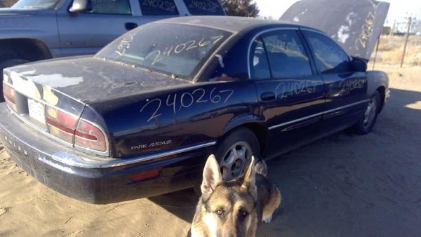 1999 Buick Park Avenue — vehicle photo 6