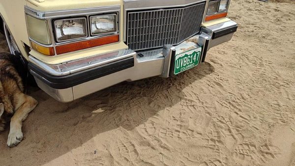 1980-1981 Cadillac Deville Chrome Front Bumper Assembly With Brackets Oem — photo 1