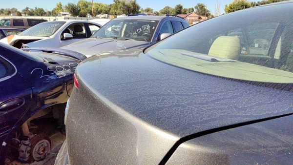 2010 Mazda 3 Trunk/decklid/hatch/tailgate 38R Graphite Mica — photo 3