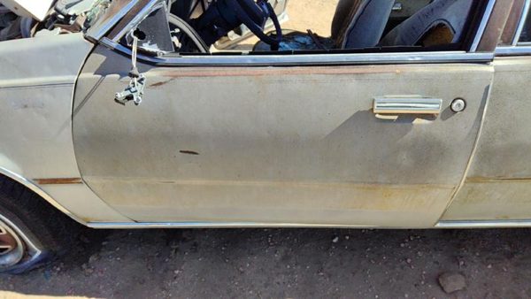 1982 Oldsmobile Firenza Front Door LH Silver — photo 2