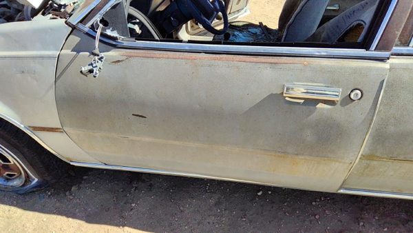 1982 Oldsmobile Firenza Front Door LH Silver — photo 3