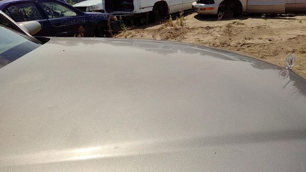 1999 Cadillac DeVille Hood 46A Beige Hail — photo 4