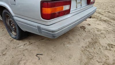 1990-1992 Volvo 740 Rear Bumper Cover Assembly Oem Back 13698881