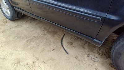 98-05 Ml320 Passenger Right Lower Rocker Panel Moulding Side Skirt Oem 99-01