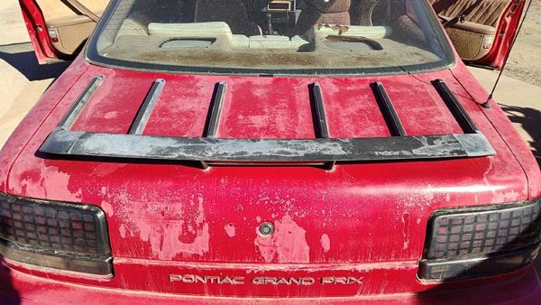 1993 Pontiac Grand Prix Trunk/decklid/hatch/tailgate Red — photo 4