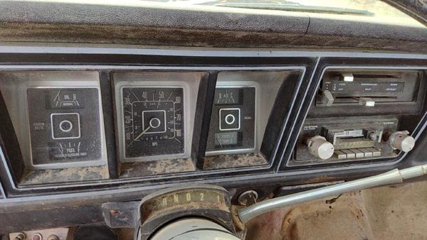 1978-1979 Ford F150 Trim Bezel Around Speedometer Oem Dash Surround Panel — photo 6